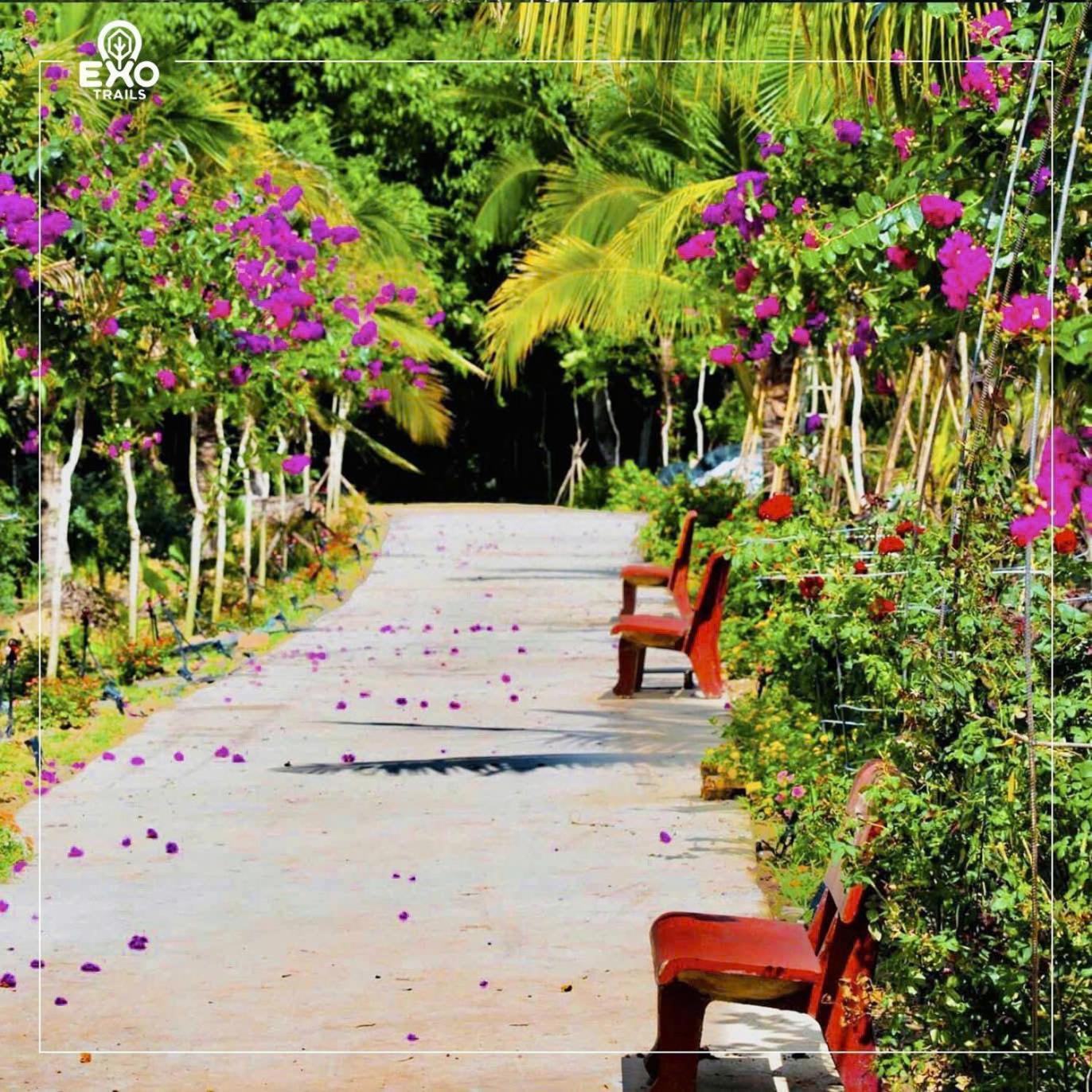 Phu Dien Homestay Cát Tiên Eksteriør billede