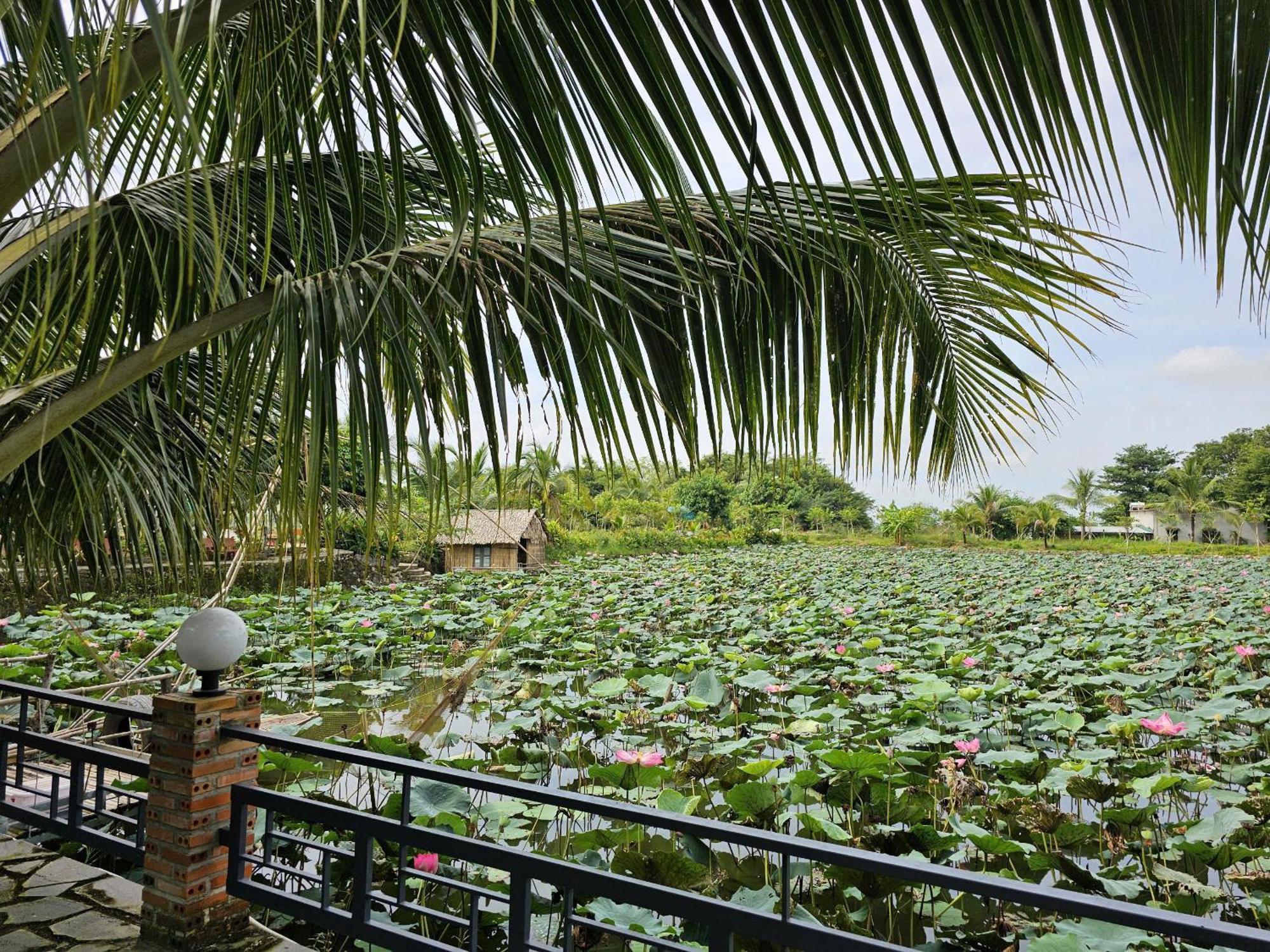 Phu Dien Homestay Cát Tiên Eksteriør billede